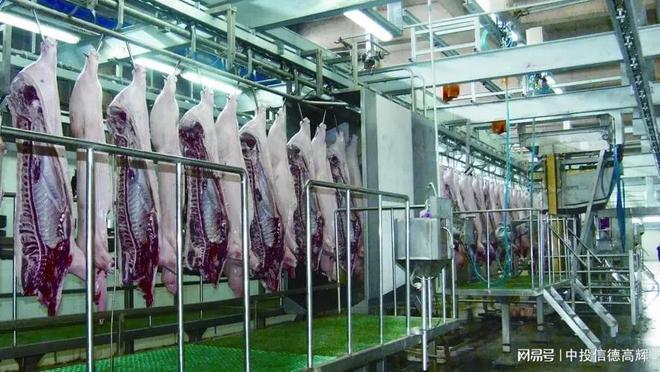 生豬屠宰加工廠與配套果蔬加工設(shè)備項目可行性研究